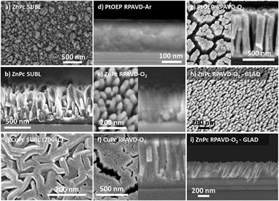 Supported Porous Nanostructures Developed by Plasma Processing of Metal Phthalocyanines and Porphyrins